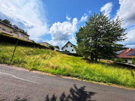 Ansicht Geländeprofil mit ebenerdiger Zufahrt in d