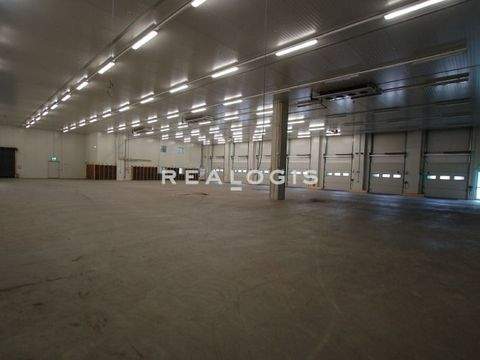 Rastatt Halle, Rastatt Hallenfläche