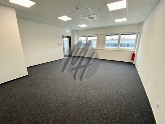 INFOS UNTER: 06171-586000