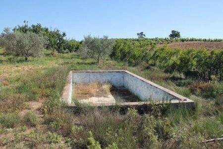 WhatsApp Bild 2025-10-18 um 21.57.27_0e666e92