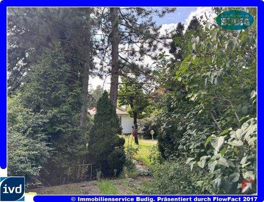 Blick von der Straße auf das Grundstück