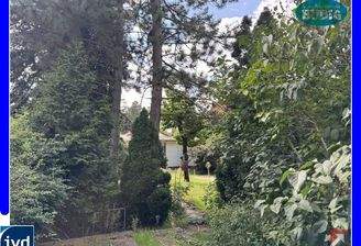 Blick von der Straße auf das Grundstück