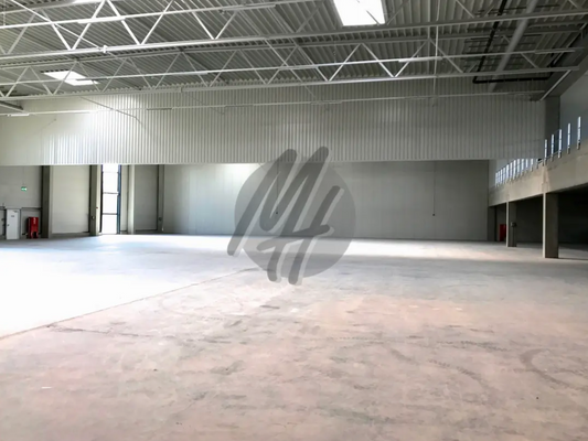 INFOS UNTER: 06171-586000