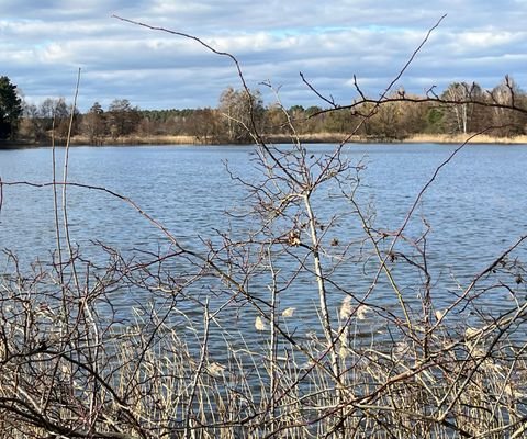 Wasserblick4.jpg