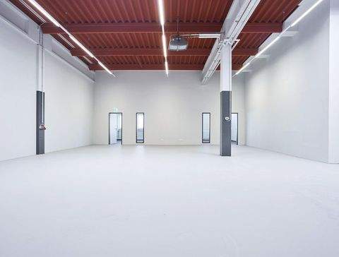 Berlin Halle, Berlin Hallenfläche