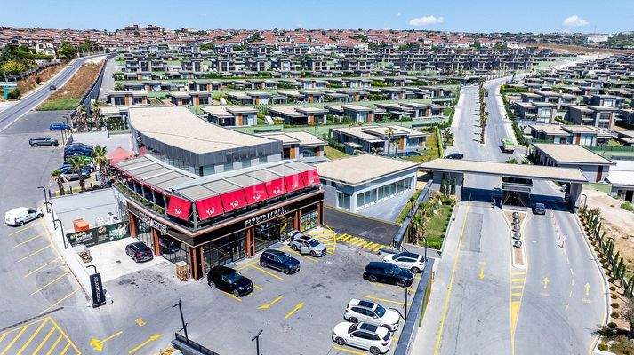Detached Villas with Pools in Büyükçekmece İstanbul
