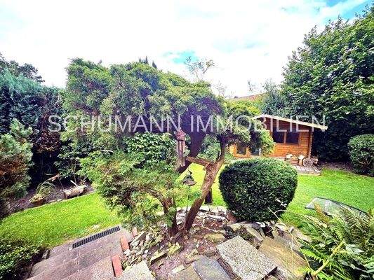 Blick in den Garten (2)