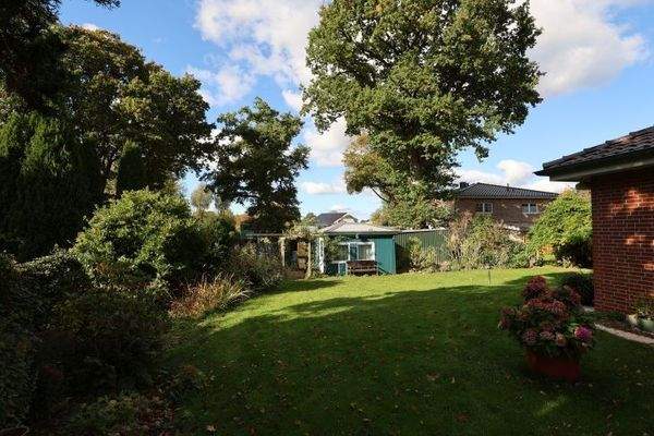 Garten mit altem Baumbestand (potenzieller Bauplatz)
