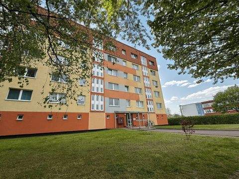 Greifswald Wohnungen, Greifswald Wohnung kaufen