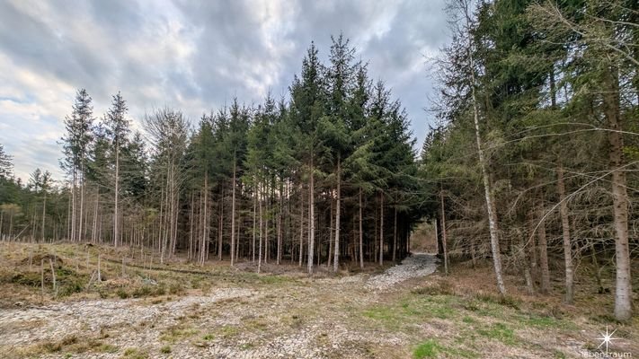 Waldgrundstück Moosburg