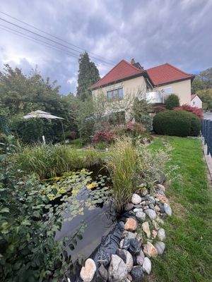 Westlicher Garten 1.jpeg