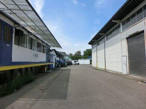 Köln Halle, Köln Hallenfläche