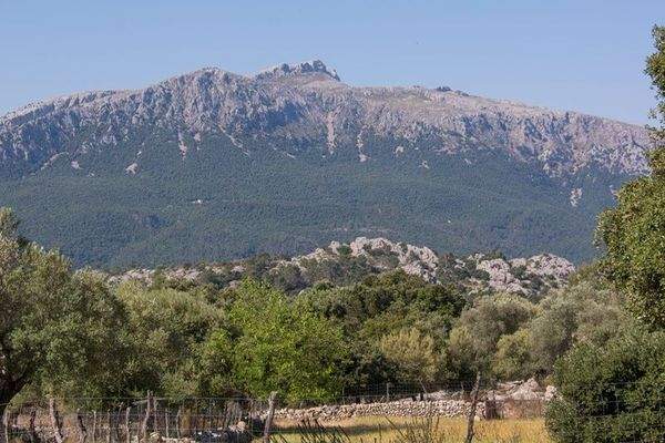 Kensington Mallorca North