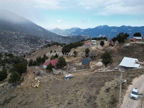 Antalya Bauernhöfe, Landwirtschaft, Antalya Forstwirtschaft
