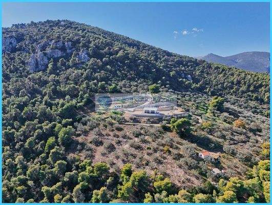 3b0380e1abe04703a45684c6bbd606f8-original