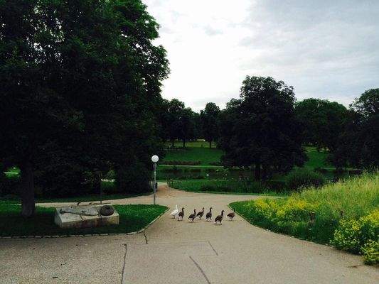 Unterer Schlossgarten