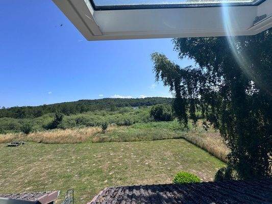 Blick vom Balkon ins Grüne