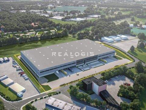 Lünen Halle, Lünen Hallenfläche