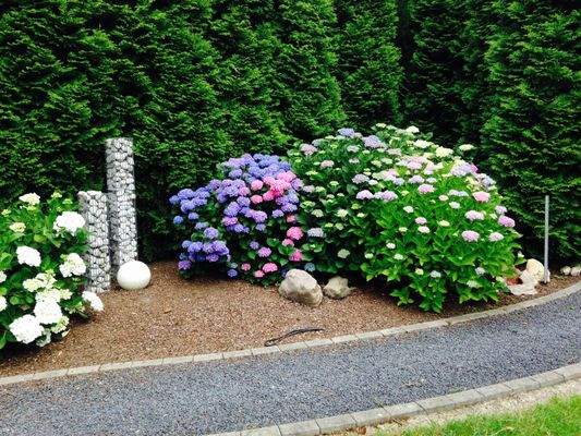 WhatsApp Image 2025-08-11 at 20.49.55.jpeg