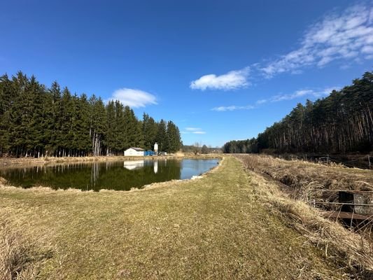 Fischweiher