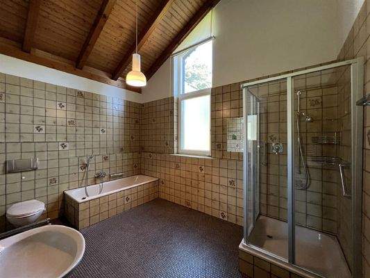 Tageslichtbadezimmer mit überhoher Decke