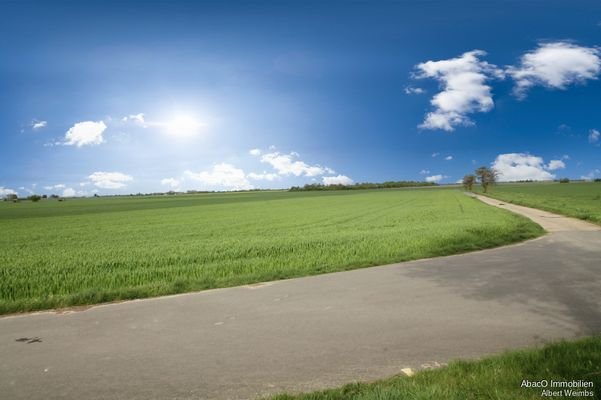 Acker Blickrichtung Nordost