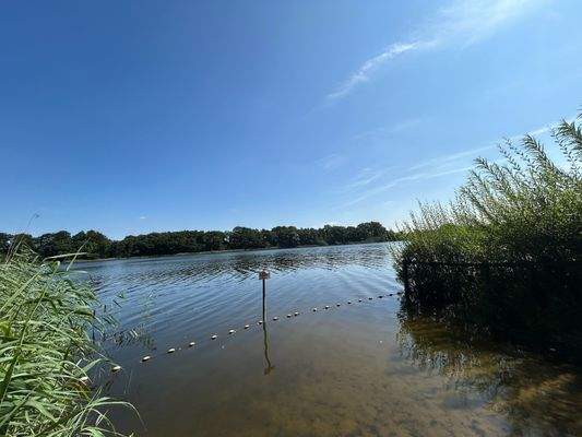 Badestelle am wunderschönen Wardersee