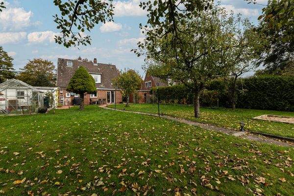 Garten mit Rückansicht