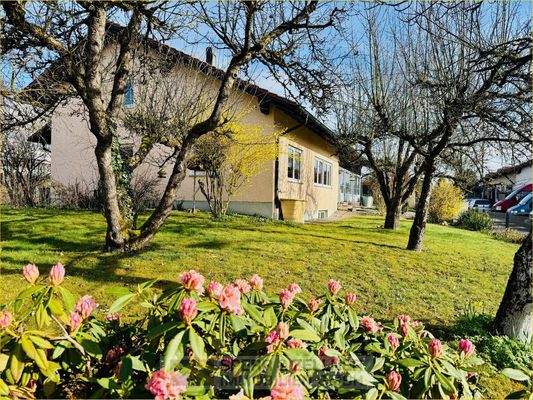 Außenansicht + Garten