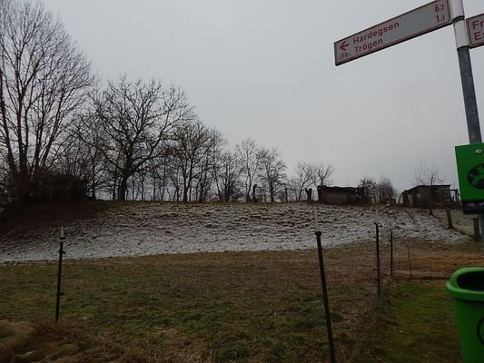 DSCN8209.JPG