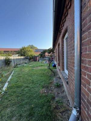 begrünter Gartenbereich