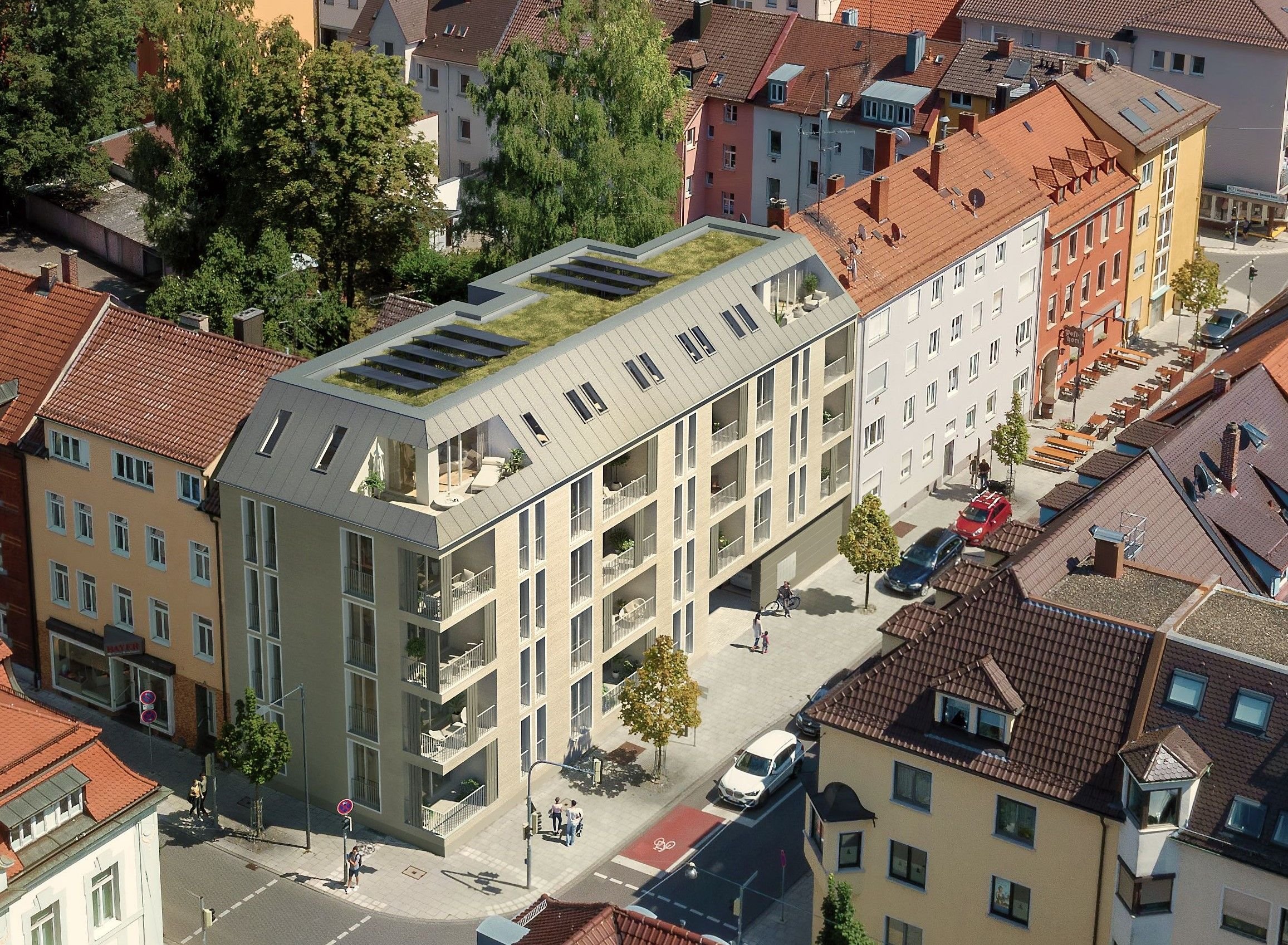 Grüner Baum Neubau in NeuUlm