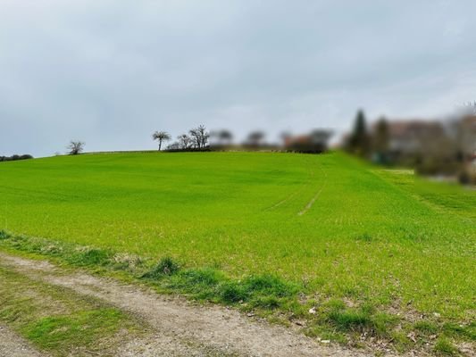 Ansicht - Leichte Hanglage