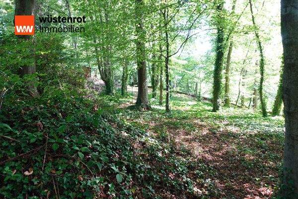 Waldweg durch das Grundstück