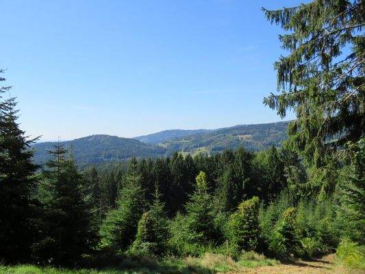 Ausblick vom Wald