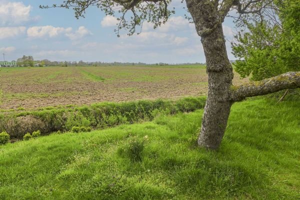 Ausblick nach hinten