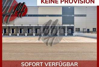 INFOS UNTER: 06171-586000