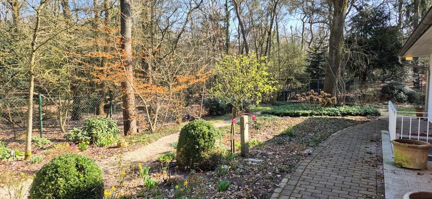 Garten_hinten