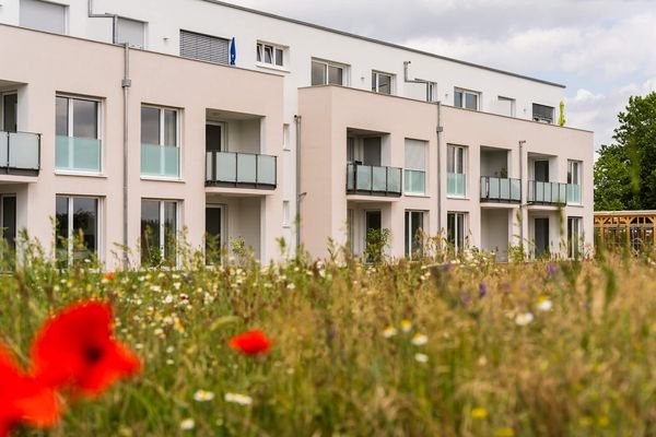 Außenansicht mit Blumenwiese