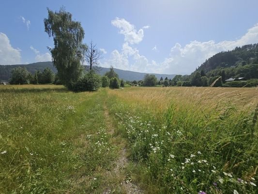 attraktive Lage in SEENÄHE