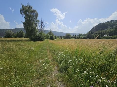 Döbriach Grundstücke, Döbriach Grundstück kaufen