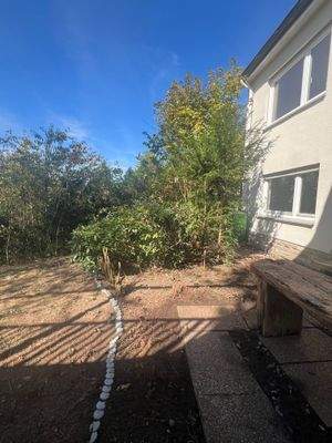 Garten mit ELW IMG_4772.JPG