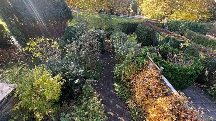 Blick in den Garten