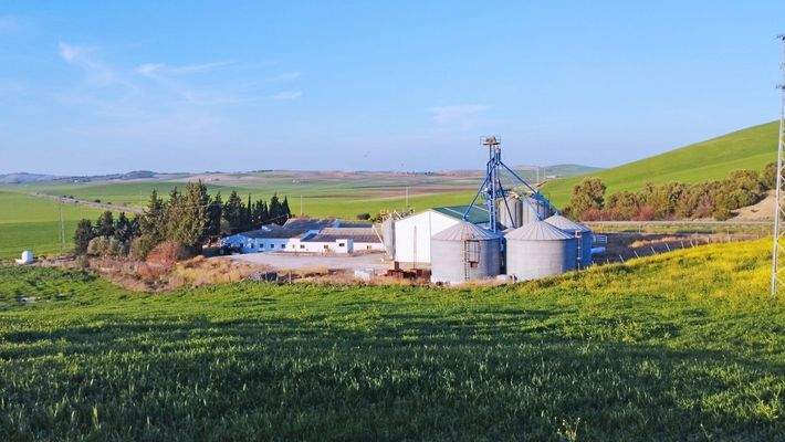 Ref2410 Andalusien, Provinz Cadiz, Bornos - Finca mit viel Land zu verkaufen