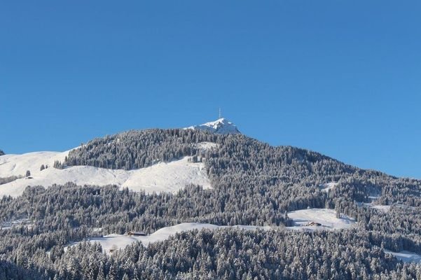 Landschaft  9 - Pillerseetal.jpg