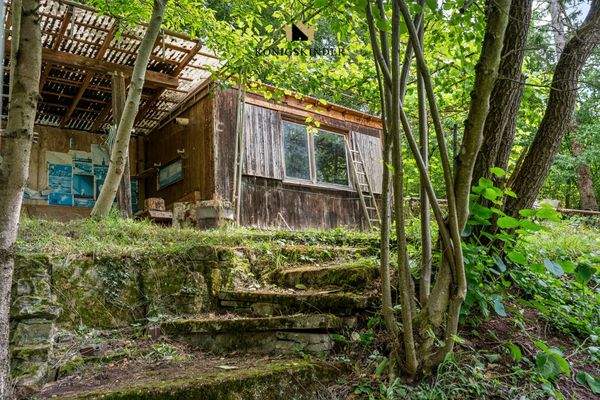 Steinstufen führen zur Gartenhütte