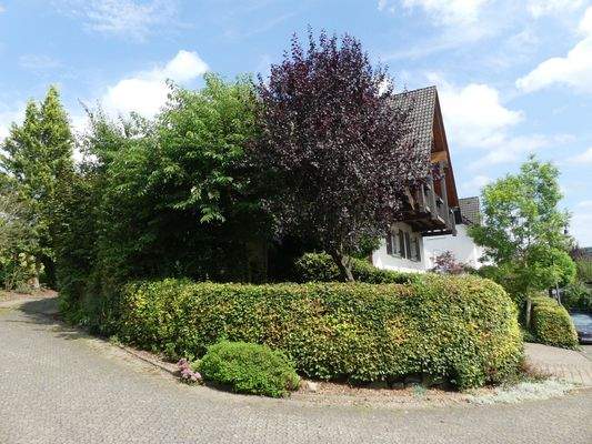 Seitenansicht Vorgarten