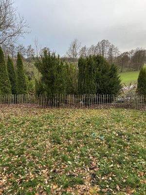 KG - Blick von der Terrasse