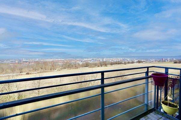 Traumblick über Dresden