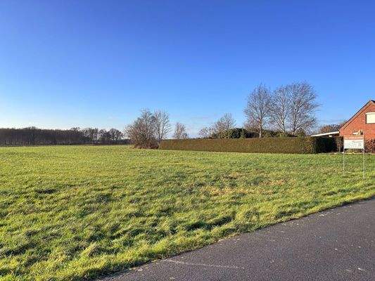 Blick auf das Grundstück